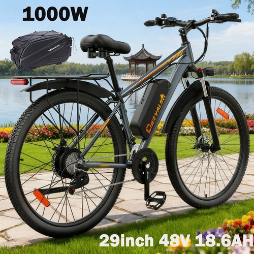 1000w bike zoll - 29,