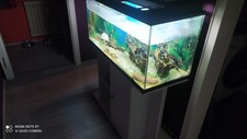 Aquarium komplett mit
