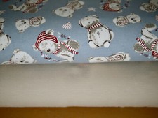 Stoffpaket HILCO Sweat TEDDYBÄR  & uni Jersey beige (Bio-Bw) 2 x 25x150 cm