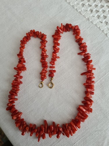 Kette astkoralle - kette,