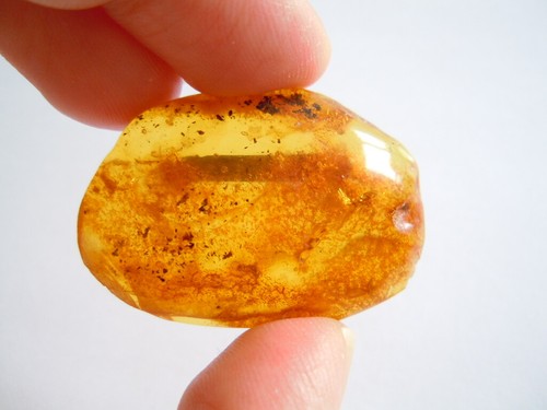 Natur bernstein brosche - natur,