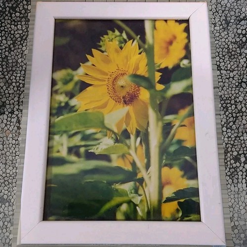 Kunstdruck bild sonnenblumen - kunstdruck,