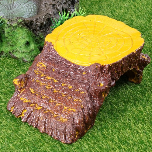 Schildkrötenzubehör