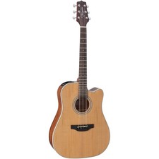 Takamine GD20CE NS • G-Serie