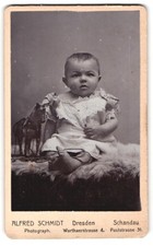 Fotografie alfred schmidt - fotografie,