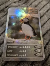 Netto Ozeanien 2 Gold 59