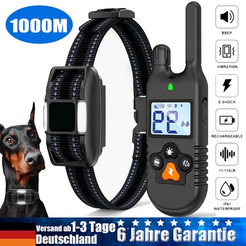 1000m hund ausbildung - hund,