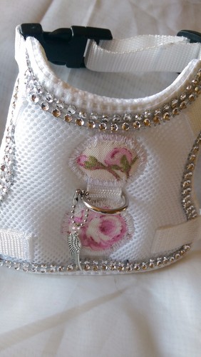 Hundegeschirr mit glitzer - s,
