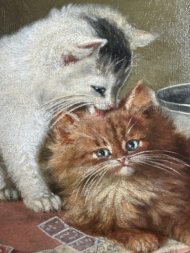 ölgemälde zwei katzen auf - zwei,
