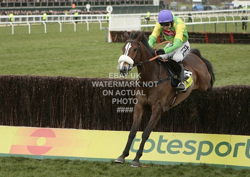Kauto star ruby walsh - kauto,