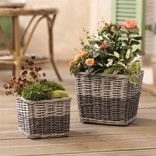 Blumen pflanz korb grey - korb, "grey"