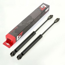 2x GASDRUCKFEDER LIFTER