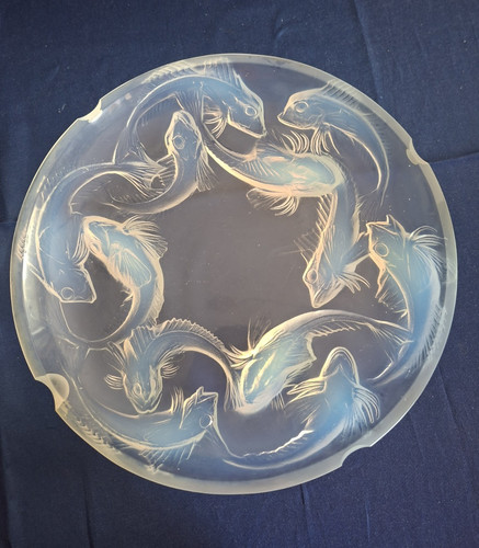 Lalique glasplatte rund - rund, groß