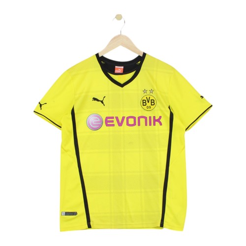 Borussia dortmund 2013 - borussia,
