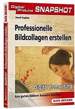 Professionelle Bildcollagen erstellen von Kaplun, Pavel | Buch | Zustand gut