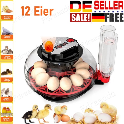 Inkubator brutkasten 12eier - inkubator,
