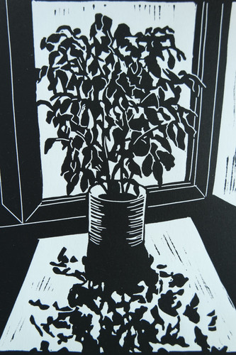 Linolschnitt ficus - linolschnitt, „ficus