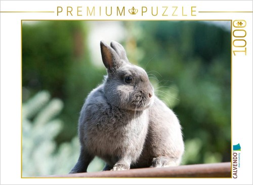 Calvendo puzzle ein - puzzle, motiv