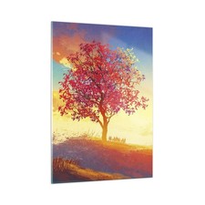 Wandbilder 50x70cm Glasbild