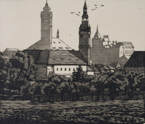 Paroubek blick - j.,