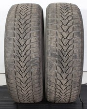 2 x 195/55R16 87H Winterreifen
