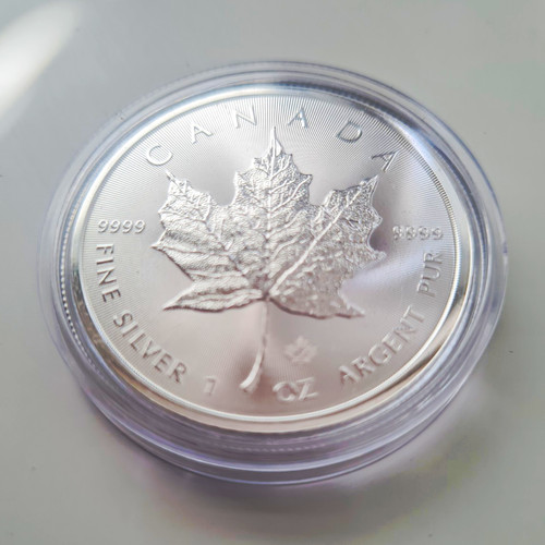 Maple leaf 2025 - maple, 1