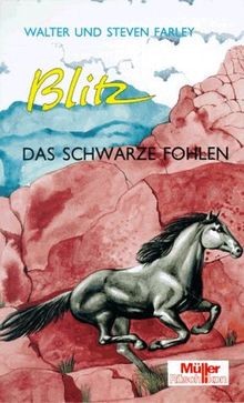 Blitz das - blitz,, bd.13,