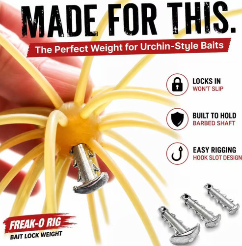 Sea urchin bait anchor - sea,