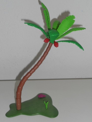 Palme kokosnusspalme kokosnuss - palme,