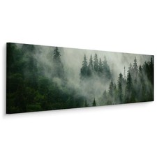 Panoramabild Canvas Wald im