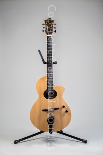Fibonacci roma cutaway archtop - roma,