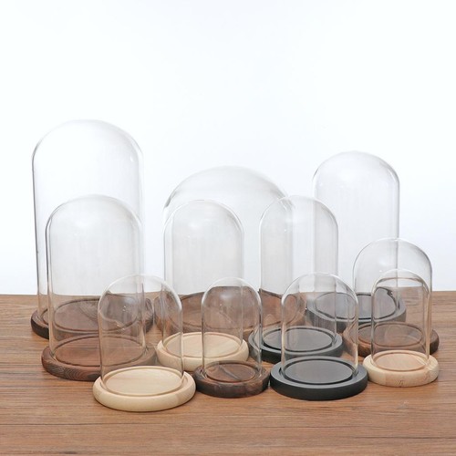 Glaskuppel cloche mit - glaskuppel-cloche,