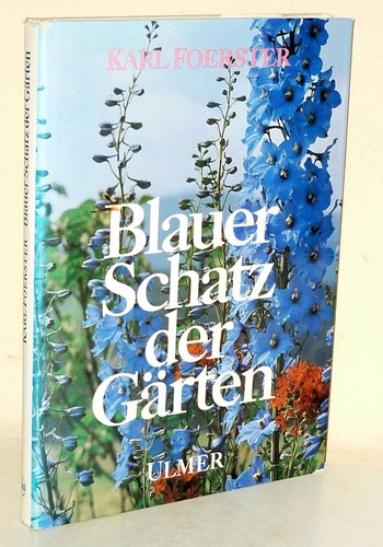 Karl foerster blauer schatz - karl,