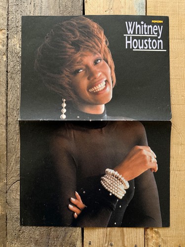 Whitney houston take - /,