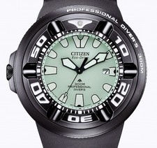 Citizen Promaster Professional
