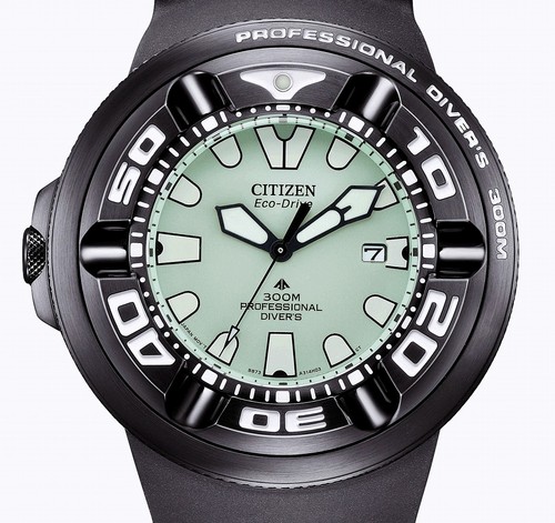 Citizen promaster professional - citizen,