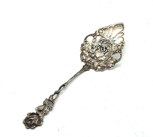 Antike hildesheimer rose - antike,