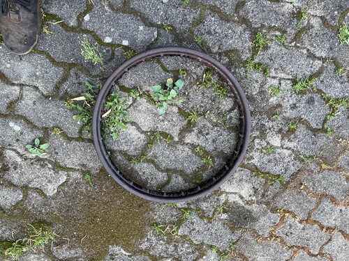 Dkw bmw nsu felge schwarz - bmw,