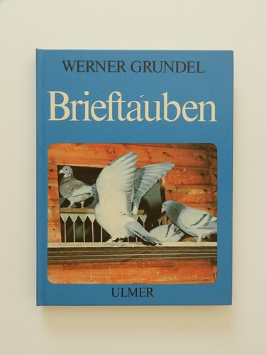 Brieftauben werner grundel - brieftauben,