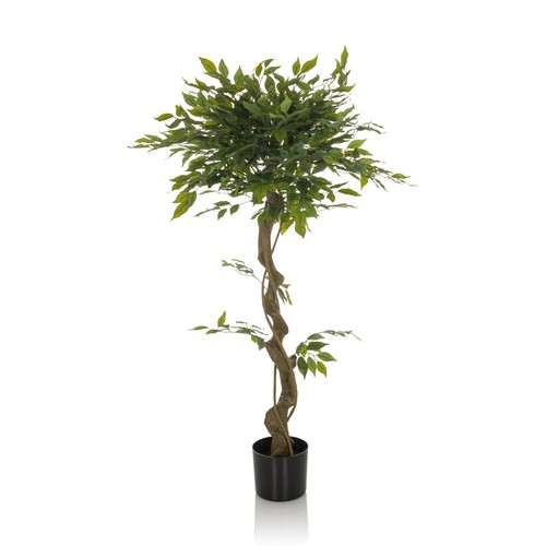 Kunstpflanze birkenfeige ficus - kunstpflanze,