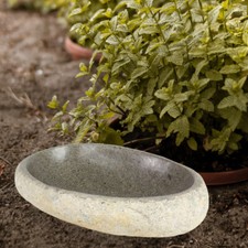 Vogeltränke Tränke Vogelbad