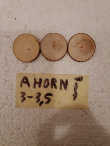 Baumscheiben ahorn 3 - 3,