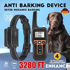 1000m Elektroschock Hunde