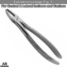 Dental Chirurgische Seitliche