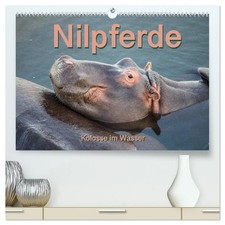 Nilpferde, Kolosse im Wasser