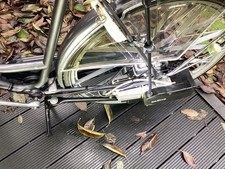 Saxonette  Spartamet mit