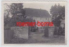 76485 Original Foto Kiebitz