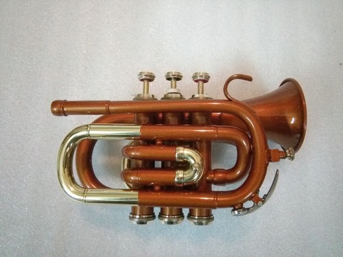 Trompetentasche aus kupfer - aus,