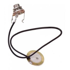 Akustische Gitarren Ukulele