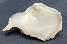 Klassiker! Milchopal